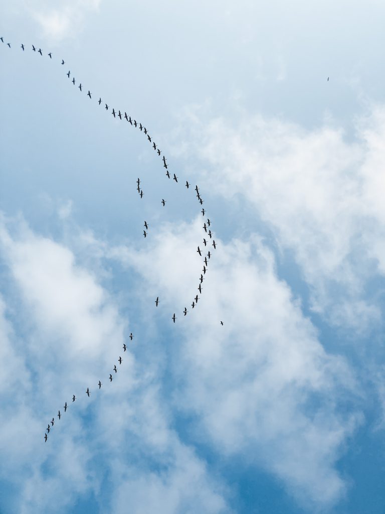 Academie voor Familieopstellingen house of meaning 10