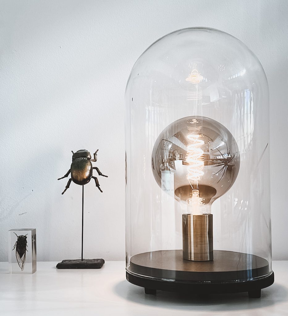 Academie voor Familieopstellingen Glass bulb